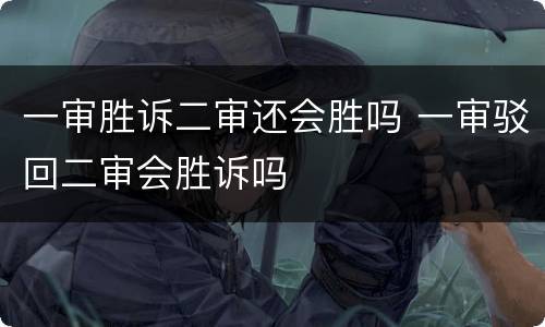 一审胜诉二审还会胜吗 一审驳回二审会胜诉吗