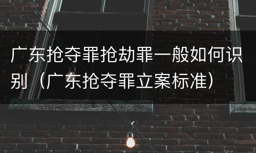 广东抢夺罪抢劫罪一般如何识别（广东抢夺罪立案标准）
