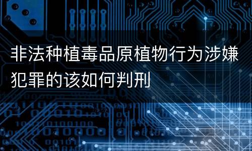 非法种植毒品原植物行为涉嫌犯罪的该如何判刑