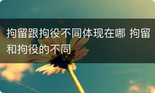 拘留跟拘役不同体现在哪 拘留和拘役的不同