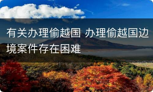 有关办理偷越国 办理偷越国边境案件存在困难