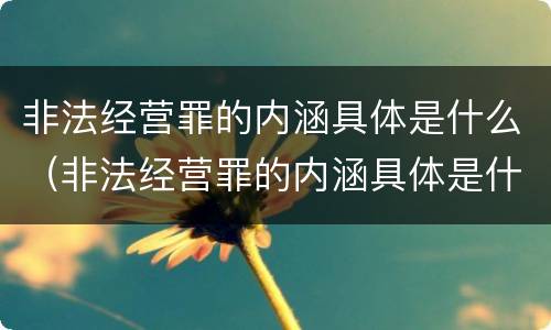 非法经营罪的内涵具体是什么（非法经营罪的内涵具体是什么内容）
