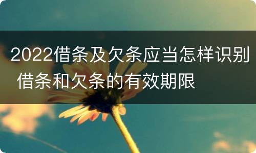 2022借条及欠条应当怎样识别 借条和欠条的有效期限