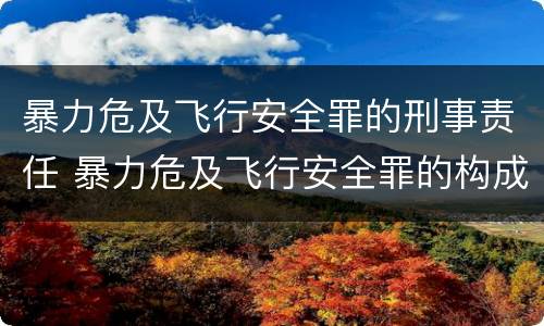 暴力危及飞行安全罪的刑事责任 暴力危及飞行安全罪的构成要件