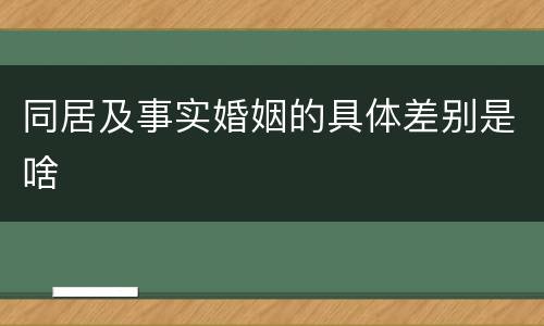 同居及事实婚姻的具体差别是啥