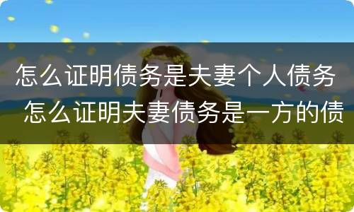 怎么证明债务是夫妻个人债务 怎么证明夫妻债务是一方的债务