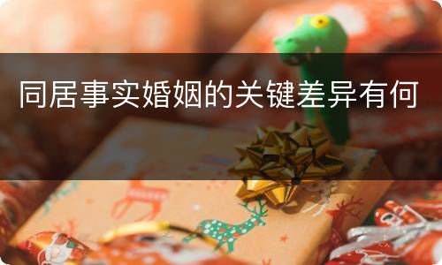 同居事实婚姻的关键差异有何