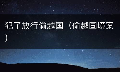 犯了放行偷越国（偷越国境案）