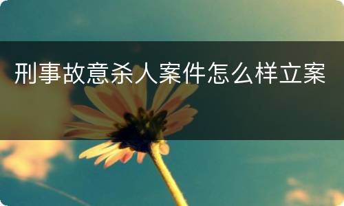 刑事故意杀人案件怎么样立案