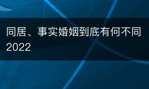 同居、事实婚姻到底有何不同2022