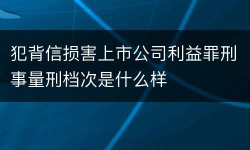 犯背信损害上市公司利益罪刑事量刑档次是什么样