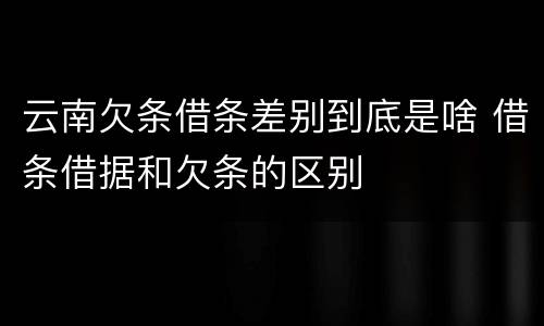 云南欠条借条差别到底是啥 借条借据和欠条的区别