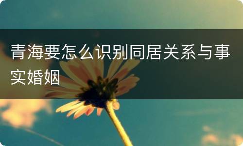 青海要怎么识别同居关系与事实婚姻