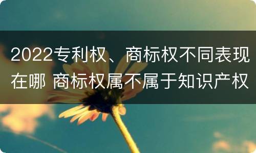 2022专利权、商标权不同表现在哪 商标权属不属于知识产权