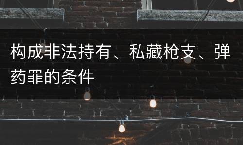 构成非法持有、私藏枪支、弹药罪的条件