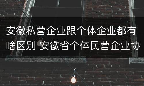 安徽私营企业跟个体企业都有啥区别 安徽省个体民营企业协会官网