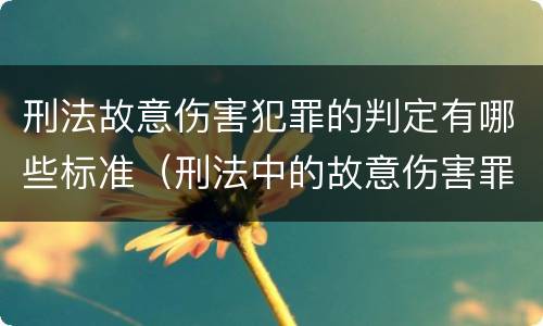 刑法故意伤害犯罪的判定有哪些标准（刑法中的故意伤害罪）