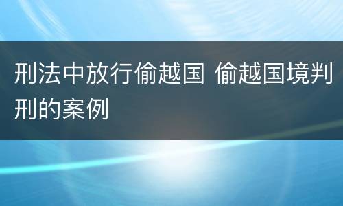 刑法中放行偷越国 偷越国境判刑的案例