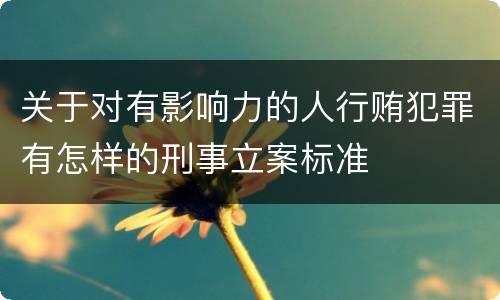 关于对有影响力的人行贿犯罪有怎样的刑事立案标准