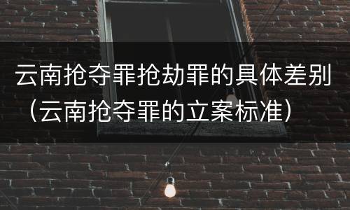 云南抢夺罪抢劫罪的具体差别（云南抢夺罪的立案标准）