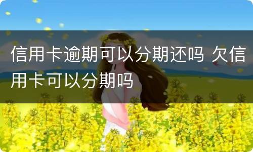 信用卡逾期可以分期还吗 欠信用卡可以分期吗