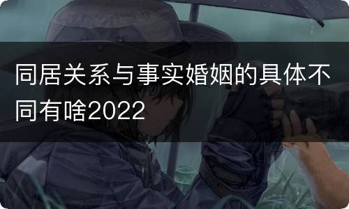 同居关系与事实婚姻的具体不同有啥2022