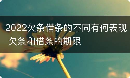 2022欠条借条的不同有何表现 欠条和借条的期限