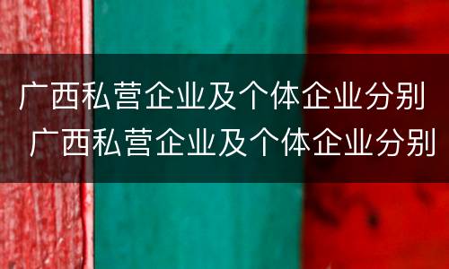 广西私营企业及个体企业分别 广西私营企业及个体企业分别有哪些