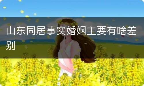 山东同居事实婚姻主要有啥差别