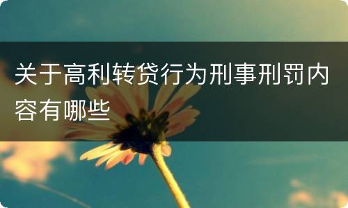关于高利转贷行为刑事刑罚内容有哪些