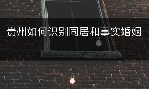 贵州如何识别同居和事实婚姻