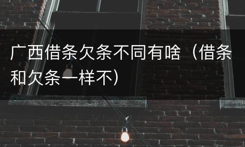 广西借条欠条不同有啥（借条和欠条一样不）