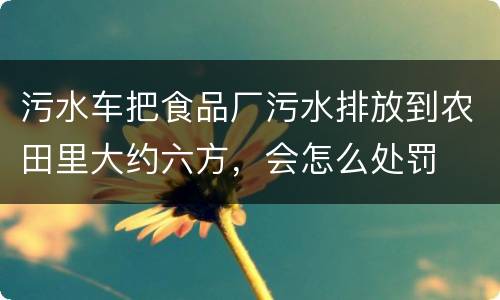 污水车把食品厂污水排放到农田里大约六方，会怎么处罚
