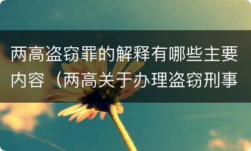 两高盗窃罪的解释有哪些主要内容（两高关于办理盗窃刑事案件解释）