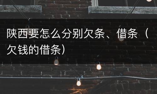 陕西要怎么分别欠条、借条（欠钱的借条）