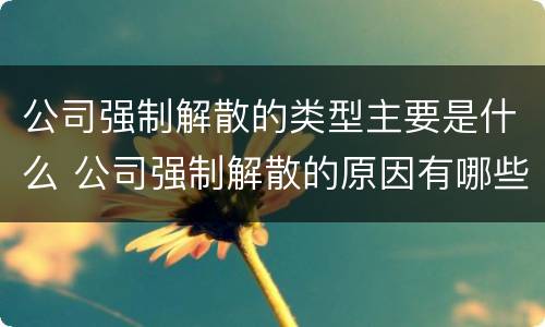 公司强制解散的类型主要是什么 公司强制解散的原因有哪些?