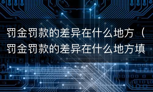 罚金罚款的差异在什么地方（罚金罚款的差异在什么地方填写）