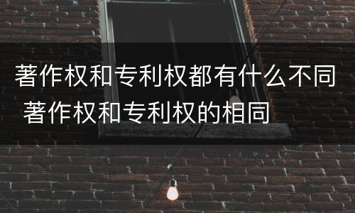 著作权和专利权都有什么不同 著作权和专利权的相同