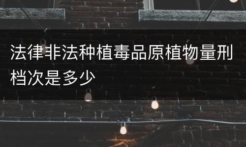 法律非法种植毒品原植物量刑档次是多少