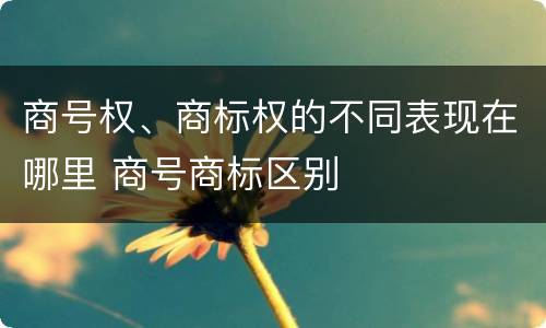 商号权、商标权的不同表现在哪里 商号商标区别