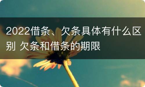 2022借条、欠条具体有什么区别 欠条和借条的期限