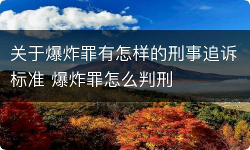关于爆炸罪有怎样的刑事追诉标准 爆炸罪怎么判刑