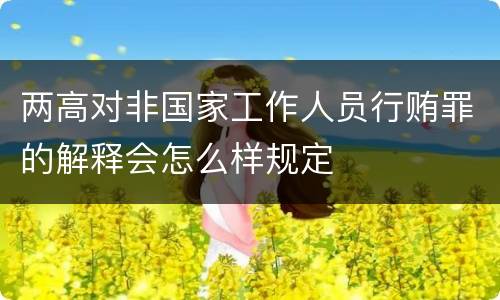 两高对非国家工作人员行贿罪的解释会怎么样规定