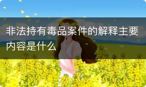 非法持有毒品案件的解释主要内容是什么