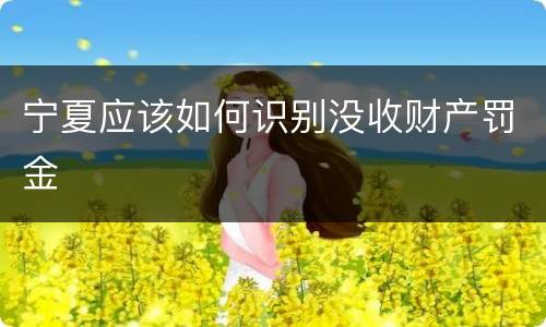 宁夏应该如何识别没收财产罚金