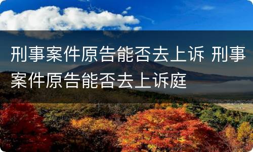 刑事案件原告能否去上诉 刑事案件原告能否去上诉庭