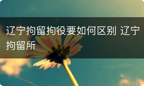 辽宁拘留拘役要如何区别 辽宁拘留所