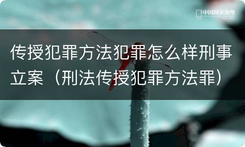 传授犯罪方法犯罪怎么样刑事立案（刑法传授犯罪方法罪）