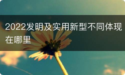 2022发明及实用新型不同体现在哪里