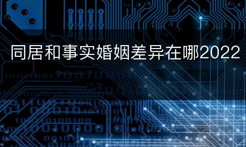 同居和事实婚姻差异在哪2022